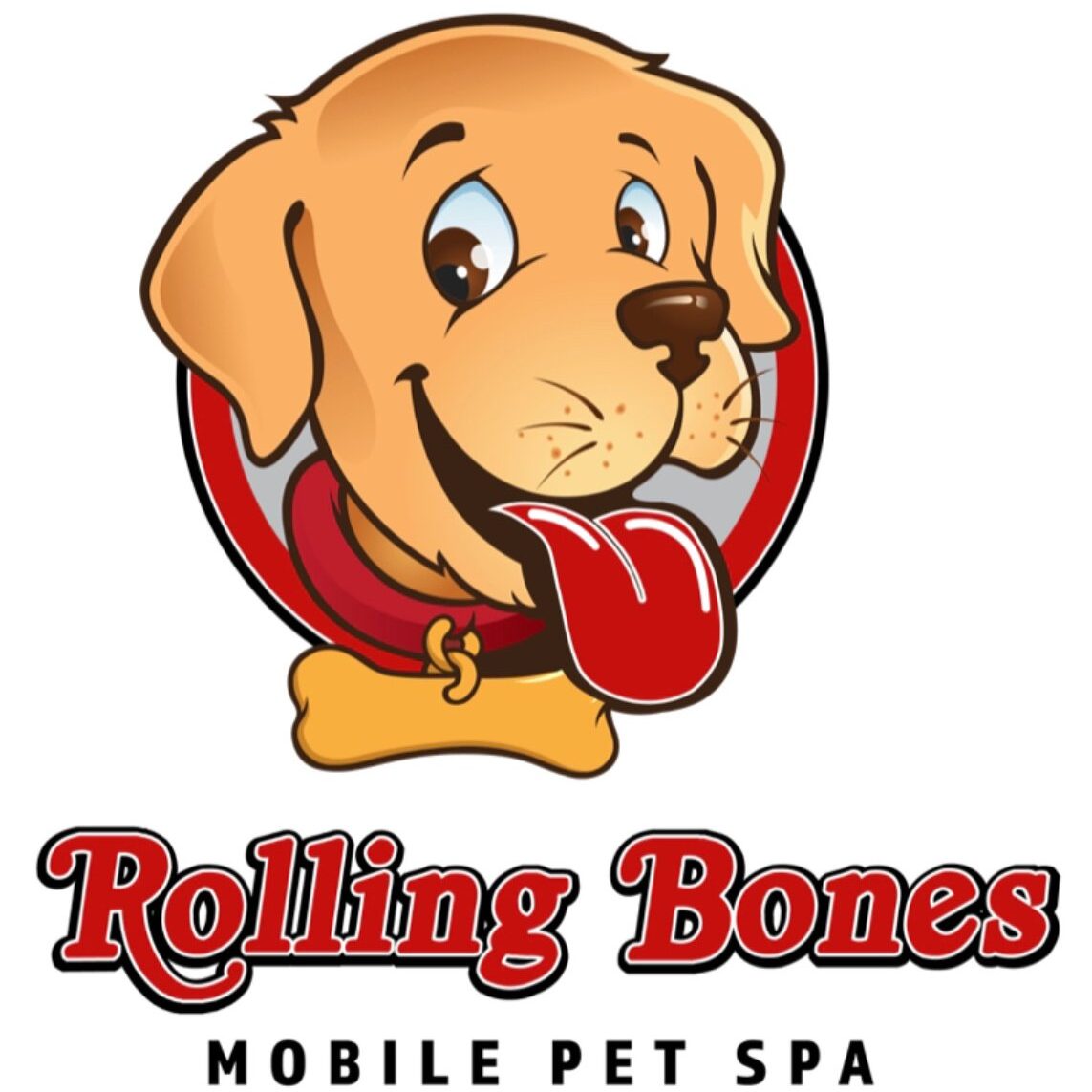 Rolling Bones Mobile Pet Grooming Service Boston, Massachusetts